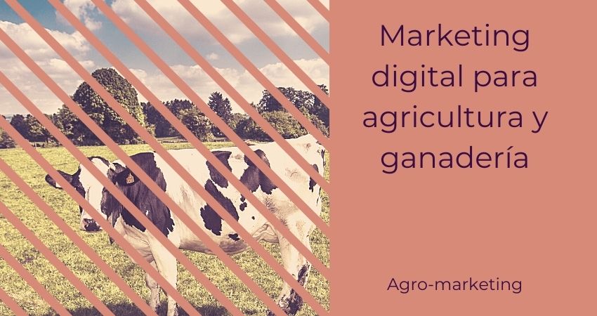 marketing agricola